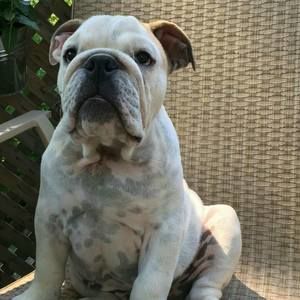 Meet your Posher, Matt